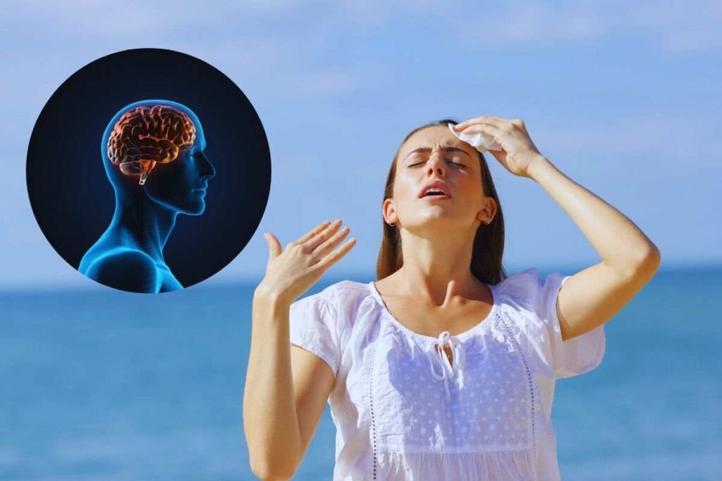 Caldo estremo e salute mentale: cosa succede davvero al nostro cervello quando le temperature salgono 1 cosa succede al cervello con il caldo estremo