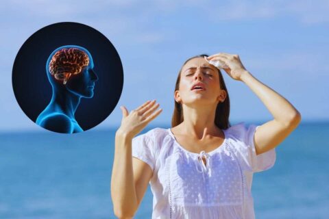 cosa succede al cervello con il caldo estremo