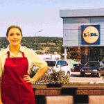 offerte di lavoro da lidl
