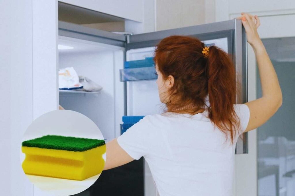 Perché mettono tutti una spugna in freezer? Forse non lo sai, ma è un trucco geniale che ti rivoluziona casa 1 la spugna in freezer