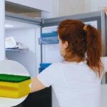 la spugna in freezer