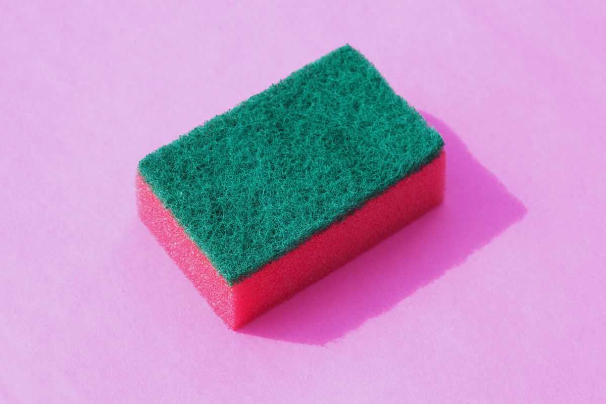 Perché mettono tutti una spugna in freezer? Forse non lo sai, ma è un trucco geniale che ti rivoluziona casa 2 l'utilità della spugna in freezer