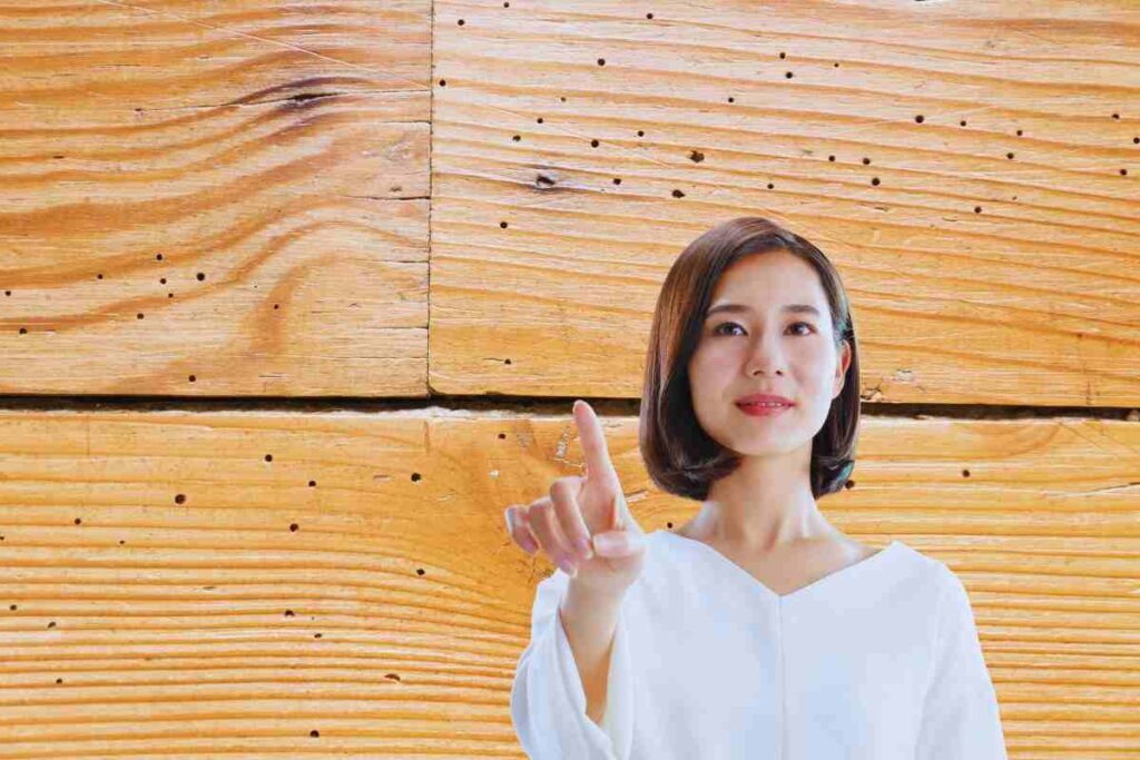 come risolvere il problema dei tarli nel parquet