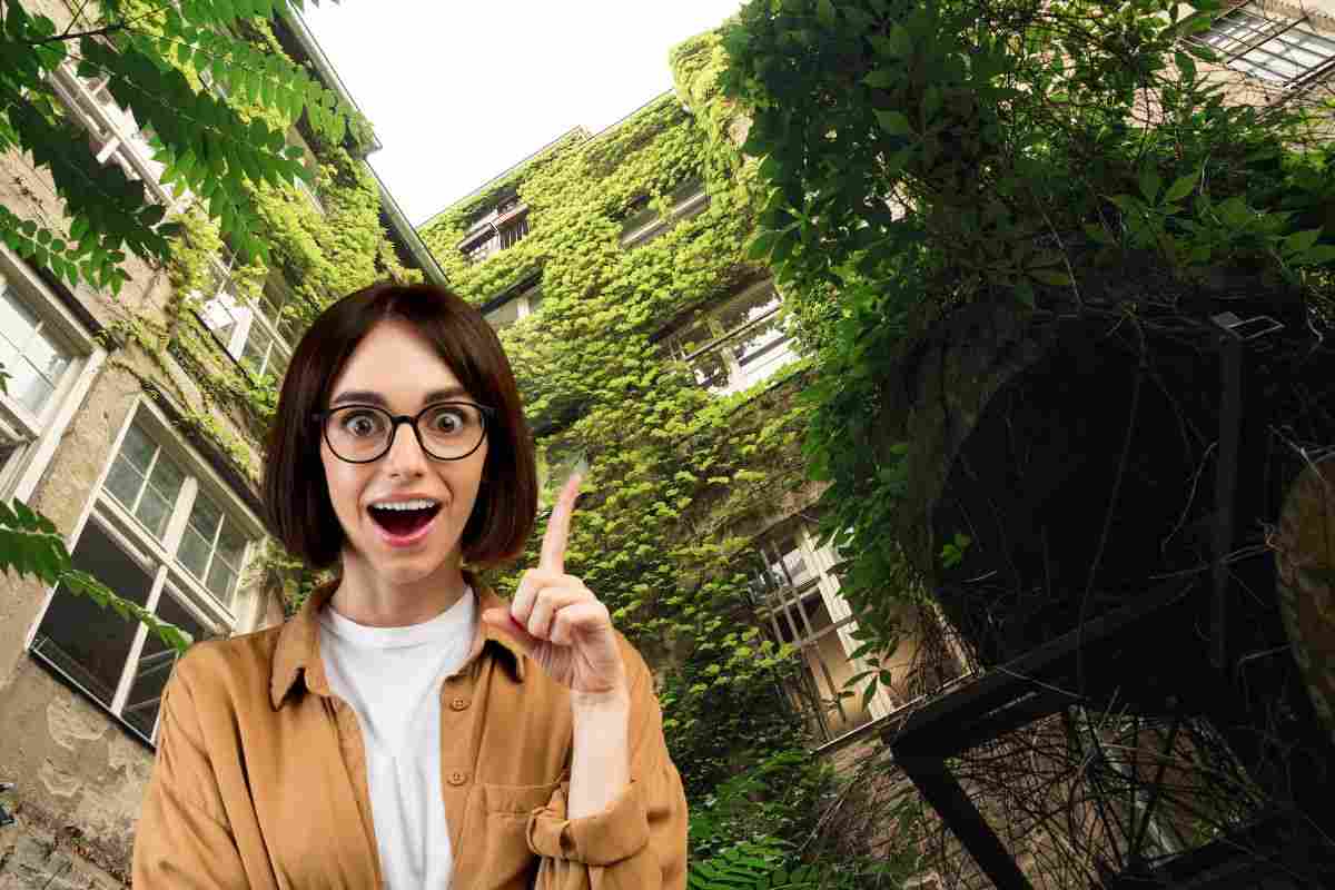 scopri la pianta che riscalda casa